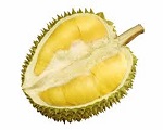 Les choses de la poudre Durian nécessitant une attention