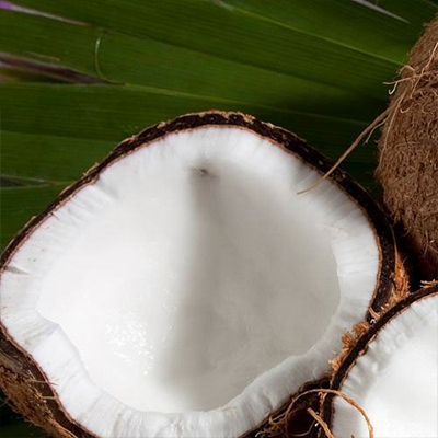 Poudre de coco