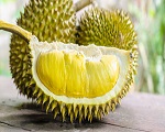 Introduction de Durian Powder