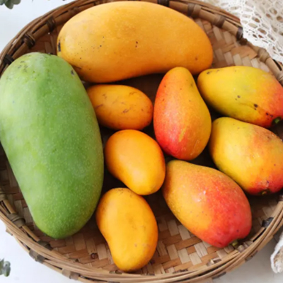 Poudre de mangue
