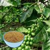 Extrait de grain de café vert 