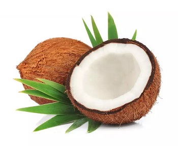 La poudre de noix de coco est-elle bonne pour la perte de poids?