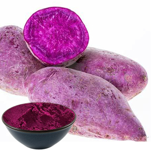 Poudre de patate douce violette